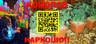 кокс Кинель