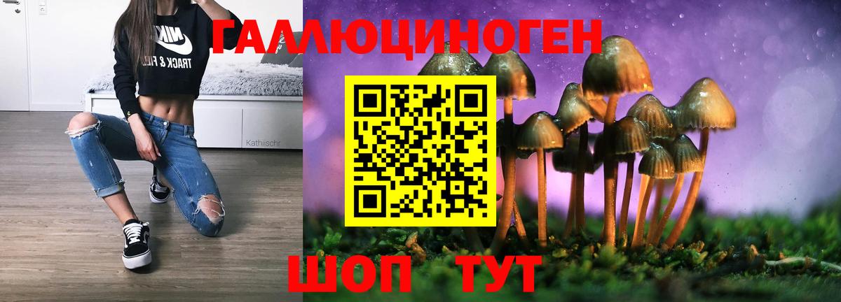 Ессентуки  Псилоцибиновые грибы Magic Shrooms  Вход с VPN 